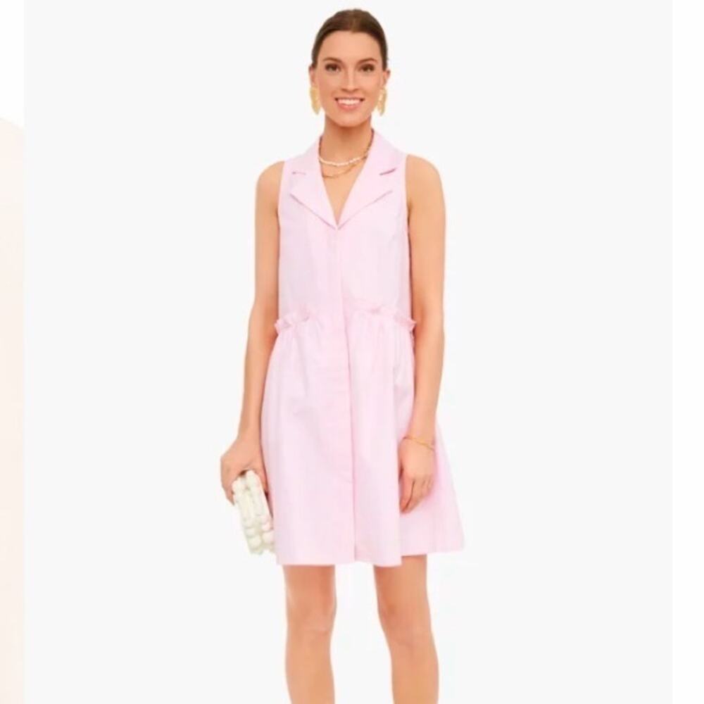 Tuckernuck Pink Oxford Sleeveless Royal Shirt Dress Size M NWT - Picture 2 of 9